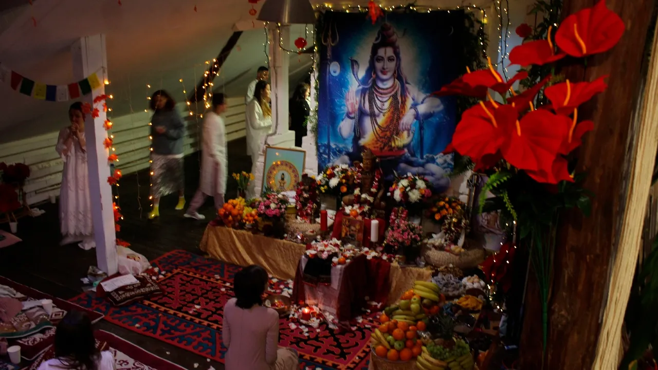 МДЦ ШактиМа